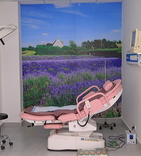 Obstetrics Gynaecology IMC