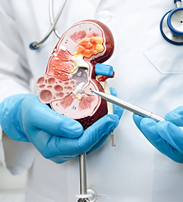 Urology Services IMC